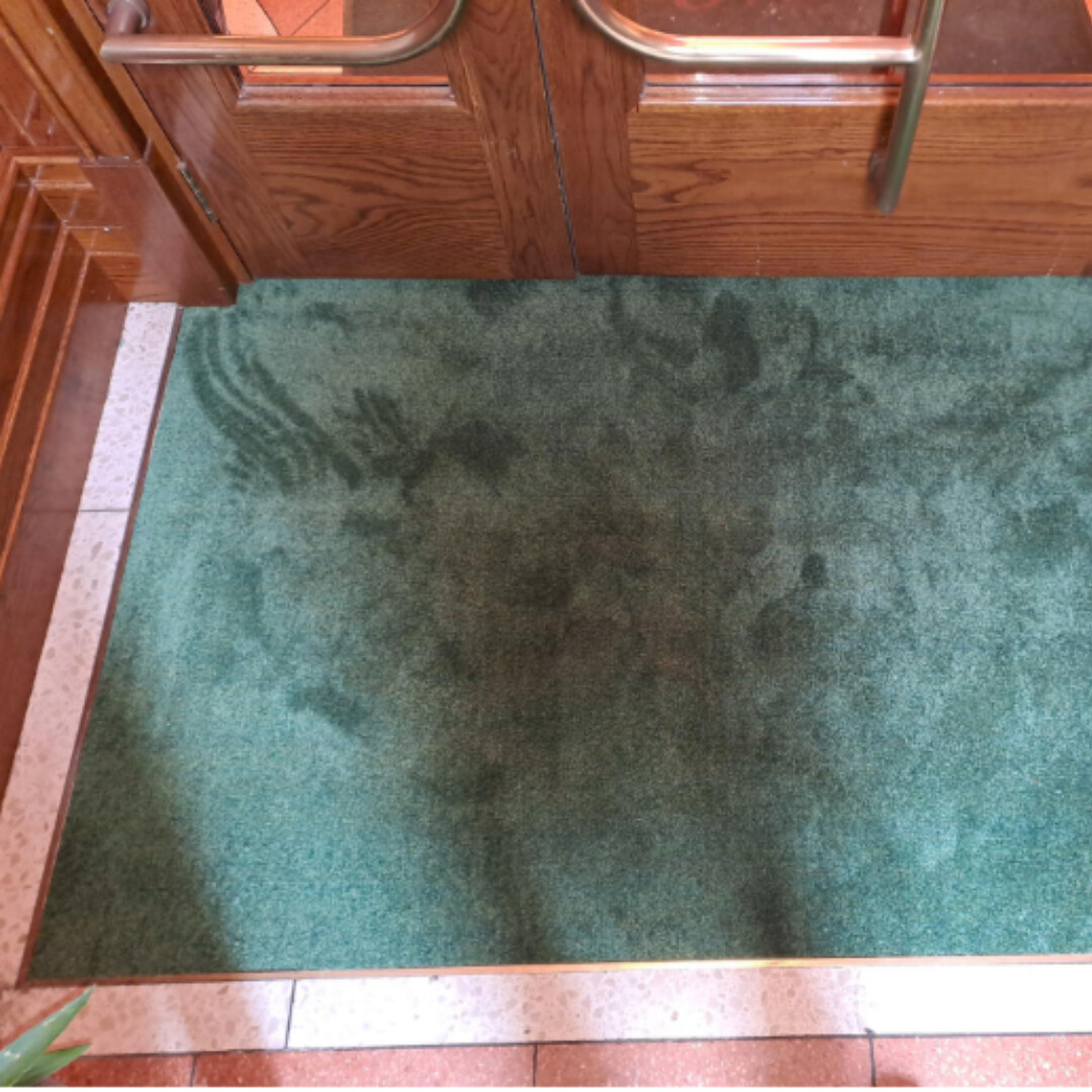 Printed Plain Colour Fitted Mats - auximage3