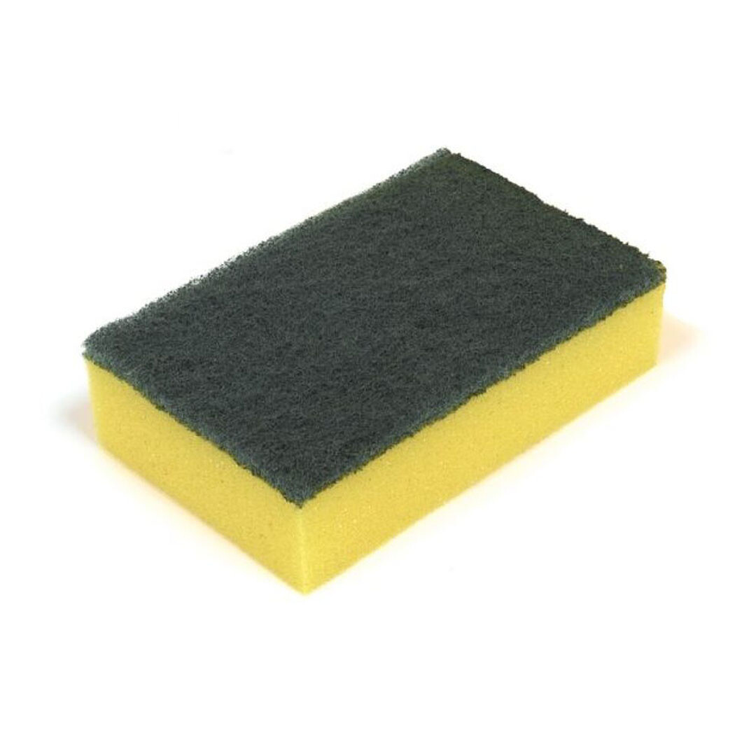Sponge Scourer - Green